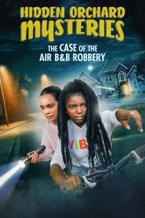 The Case of the Air B&B Robbery's Poster