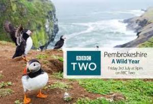 The Pembrokeshire Coast: A Wild Year's Poster