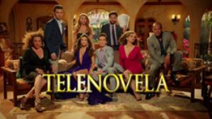 Telenovela's Poster