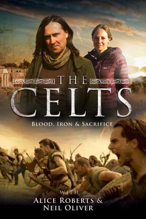 The Celts: Blood, Iron, and Sacrifice's Poster