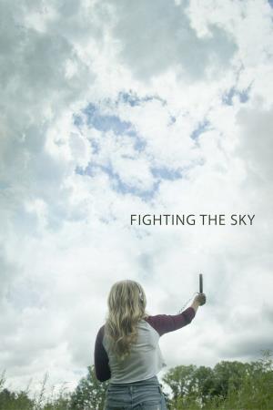Fighting In The Sky's Poster