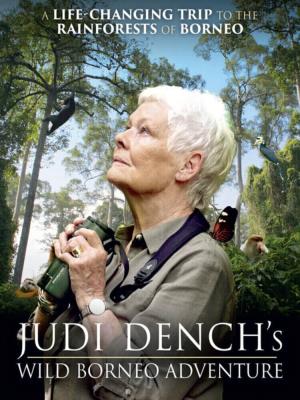 Judi Dench's Wild Borneo Adventure's Poster