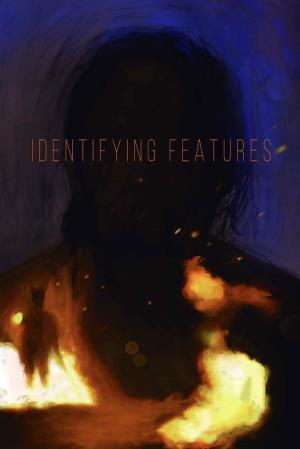 Identifying Features's Poster