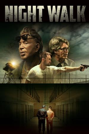 Night Walk's Poster
