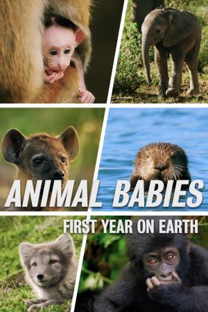 Animal Babies: First Year on Earth's Poster