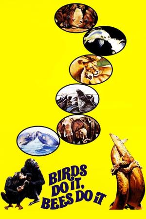 Craig and Bruno's Great British Road Trips's Poster