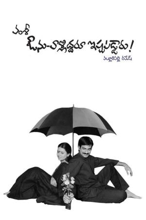 Main Tera Tu Meri's Poster