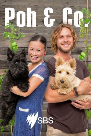 Poh & Co's Poster