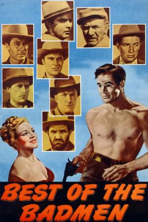 Il magnifico fuorilegge's Poster