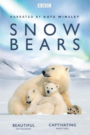 Snow Bears, vita da orsi's Poster