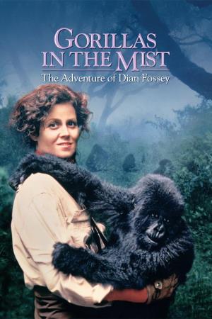 Gorilla nella nebbia-la storia di diane fossey's Poster