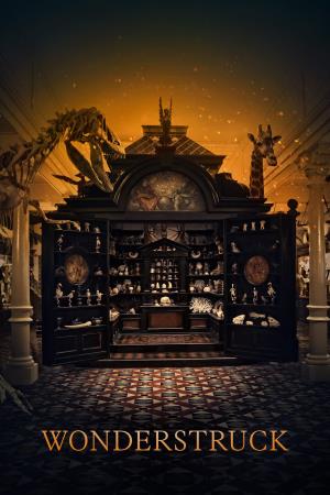 La stanza delle meraviglie's Poster