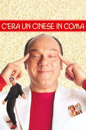 C'era un cinese in coma's Poster