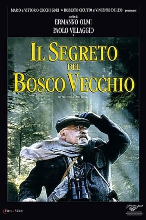 Il segreto del bosco vecchio's Poster