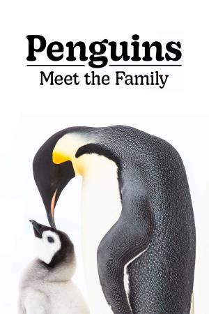 La famiglia dei pinguini's Poster
