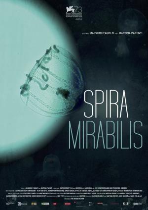 Spira mirabilis's Poster