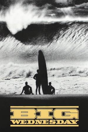 Un mercoledi' da leoni's Poster