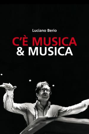 C'e' musica e musica's Poster