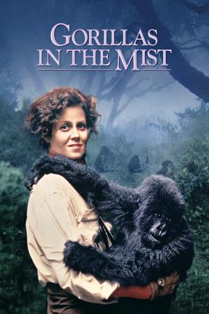 Gorillas In The Mist's Poster