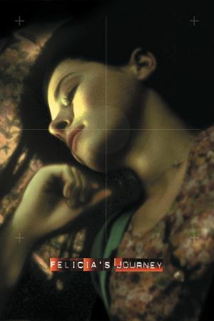 Felicia's Journey's Poster