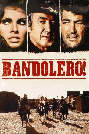 Bandolero!'s Poster