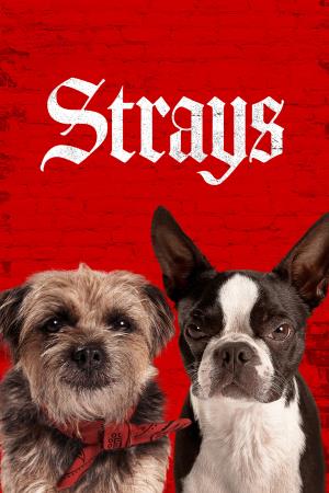 Strays's Poster