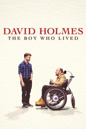 David Holmes: The Boy Who Lived's Poster