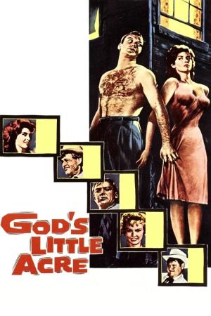 God's Little Acre's Poster