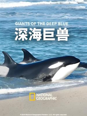 Beasts Of The Big Blue's Poster
