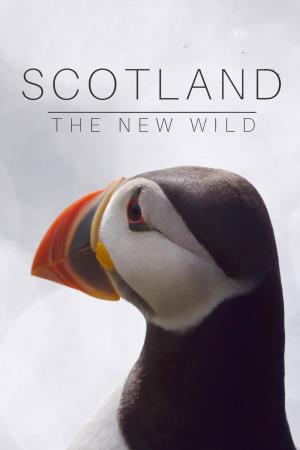 Scotland - The New Wild's Poster