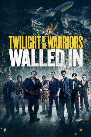Twilight of the Warriors's Poster