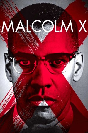 Malcolm X's Poster