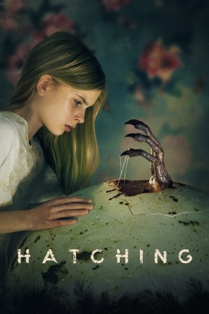 Hatching's Poster