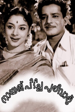Pulival's Poster
