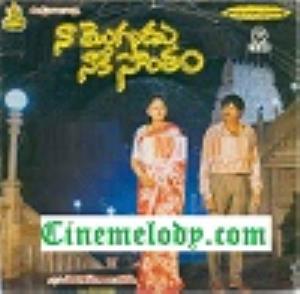 Naa Mogudu Naakesontham Poster