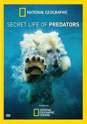 Secret Life Of Predators Poster