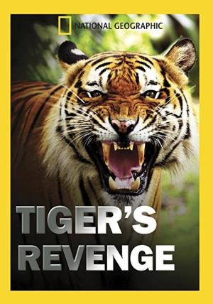 Tiger's Revenge Poster
