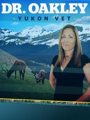 Yukon Vet Poster