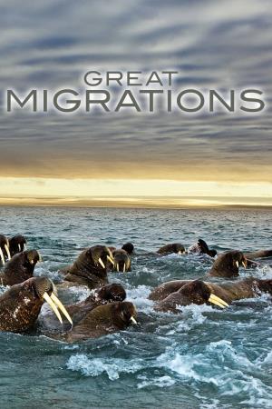 Great Migrations Poster