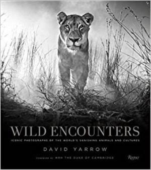 Wild Encounters Poster