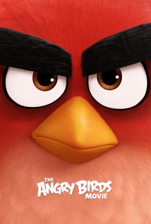 Real Angry Birds Poster