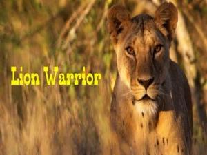 Lion Warrior Poster