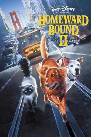 Homeward Bound II: Lost In San Francisco Poster
