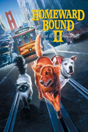 Homeward Bound 2: Lost In San Francisco Poster