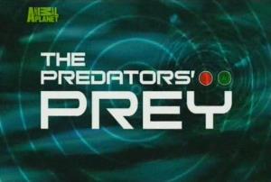 of predators and prey book