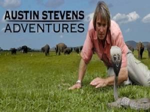 Austin Stevens Adventures Poster