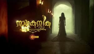 Nagakanyaka Mega Poster