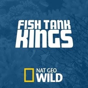 Fish Tank Kings Poster