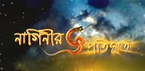 Naginir Pratighat Poster