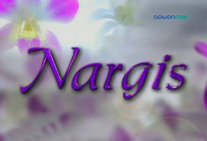 Nargis Poster